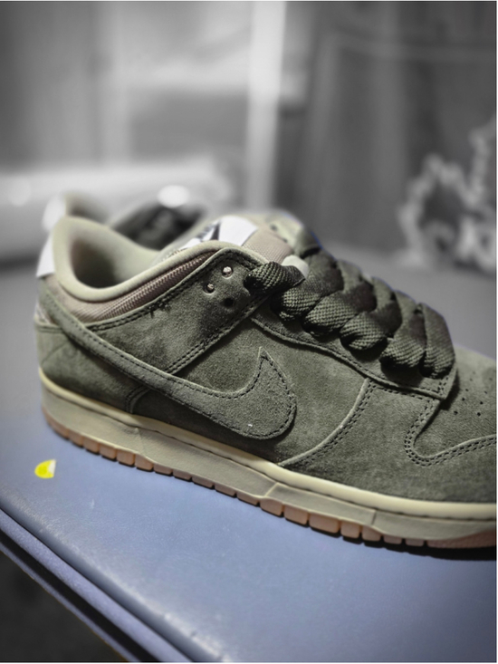 Nike Other - Nike SB Dunk Low Pro, size 9m, new.